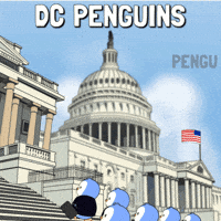 White House Business GIF by Pudgy Penguins