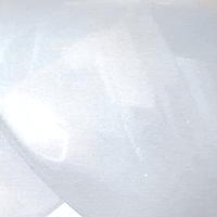 TelemundoNI  GIF