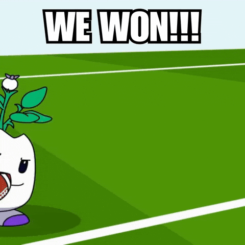 Lets Go Football GIF by Magic Eden