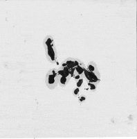 Artemis_Guy dog print artemisguy GIF