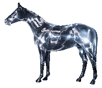 New Music Horse Sticker by Beyoncé