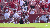 College Football GIF by Arkansas Razorbacks