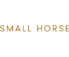 Shetlandpony Small Horse Sticker by lightandsupplehorses