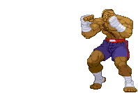 street fighter fighting Sticker