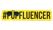 dog influencer Sticker by MISO PUP