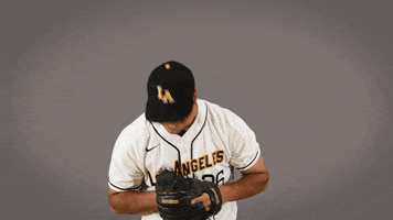 Cal State La Baseball GIF by Cal State LA Golden Eagles