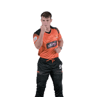 sunriserseasterncape cricket jordan sec herman Sticker