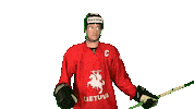 Hockey Celabrate Sticker by ledoritulys.lt