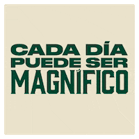 San Miguel Baile GIF by Cervezas-San-Miguel