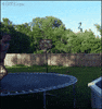 trampoline fail GIF