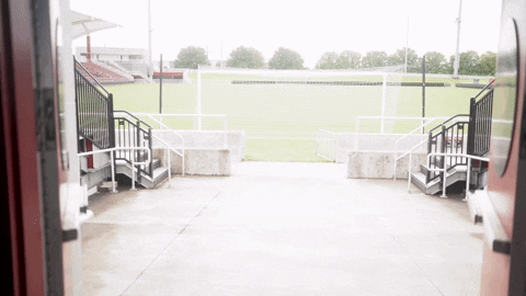 University Of Louisville Go Cards GIF by Louisville Cardinals