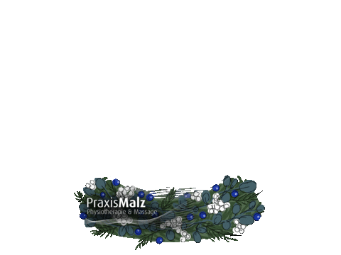 Winter Globe Sticker by Praxis Malz