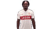 Vfb Stuttgart Hello Sticker by Bundesliga
