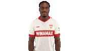 Vfb Stuttgart Wink Sticker by Bundesliga