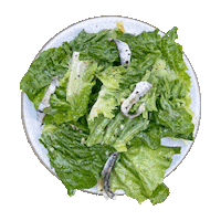 Salad Veggies Sticker by foodbabyny