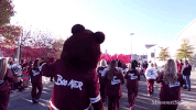missouristate GIF by Missouri State University