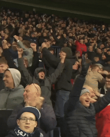 West Brom Fans GIF by West Bromwich Albion