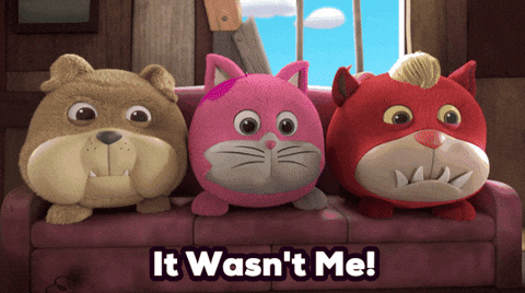 Cat No GIF by HangryPetz