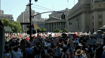 Protesters Queue to Cross Brooklyn Bridge in #FamiliesBelongTogether March