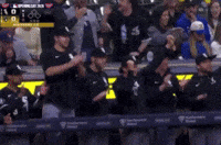 Home Run Baseball GIF