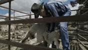 balls deep GIF by BALLS DEEP with Thomas Morton