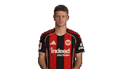 Eintracht Frankfurt Sticker by Bundesliga