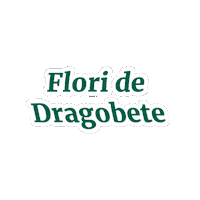 florariamagnolia dragobete flori de dragobete floraria magnolia dragobete floraria magnolia Sticker