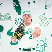 South Florida Baseball GIF by USF Athletics
