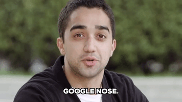 Introducing Google Nose