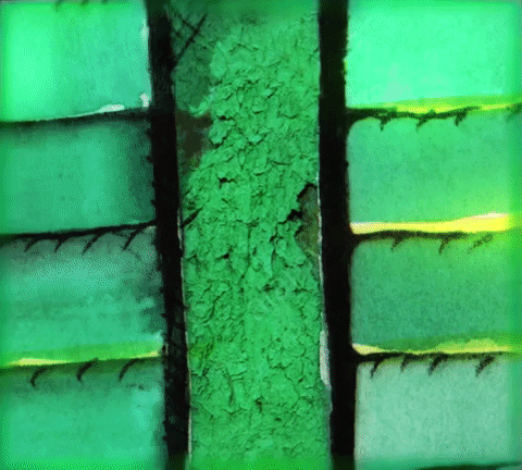 kaz-maz giphygifmaker GIF