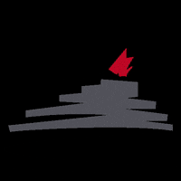 sciarapistacchio pistacchio sciaralovers sciarapistacchio cremadipistacchio GIF