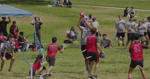 ryanchalmers giphygifmaker quidditch sf fog nicole nelson GIF