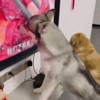 Sad Time Out GIF by Respective
