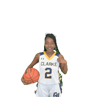 Clarke Athletics Sticker by Clarke University