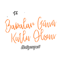 Fathers Day Baba Sticker by HediyeSepeti