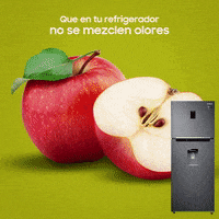 GIF by Samsungmobilemx