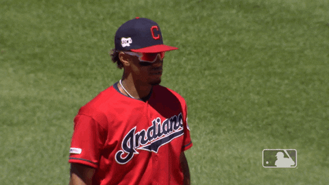 Regular Season Sport GIF by MLB