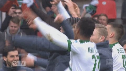 giphy.gif