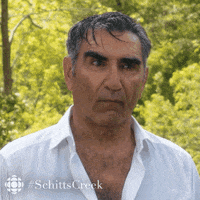 Schitts Creek Comedy GIF by CBC