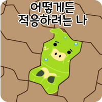 Pig 돼지 GIF by PCCCR