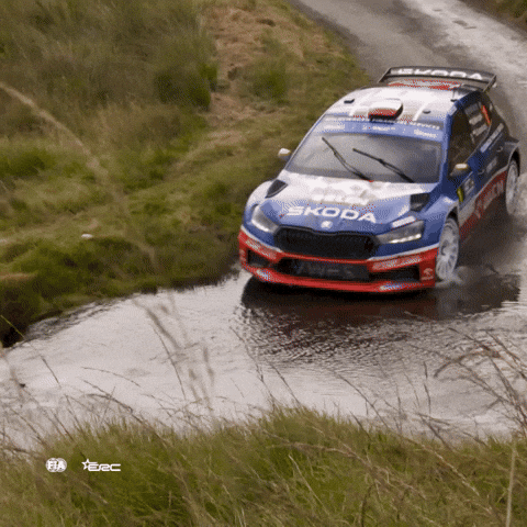 Motorsport Rallying GIF by FIA European Rally Championship