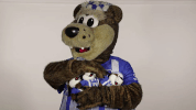 Hertha Berlin Sport GIF by Hertha BSC