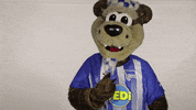 Hertha Berlin Sport GIF by Hertha BSC