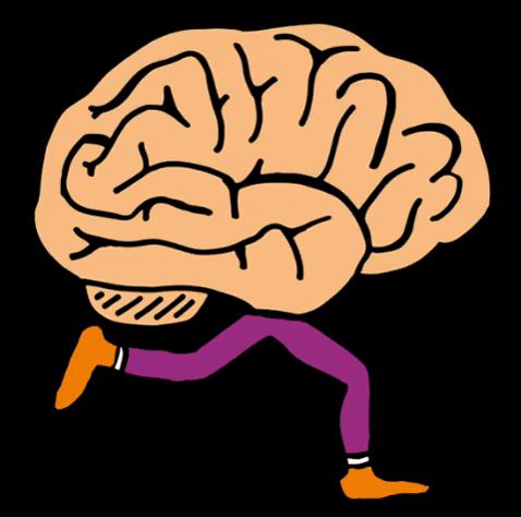 Hersenstichting giphyupload collecte hersenen collecteren GIF