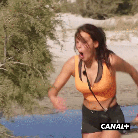 Celebration Lol GIF by CANAL+