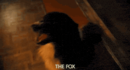 London Film Festival Dog GIF by Signature Entertainment