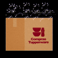comprastupperware tupperware caixinha tupper comprastupperware GIF