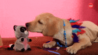 Pup-ahontas