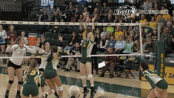 north dakota state bison GIF by NDSU Athletics