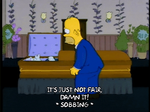 homer simpson episode 13 GIF